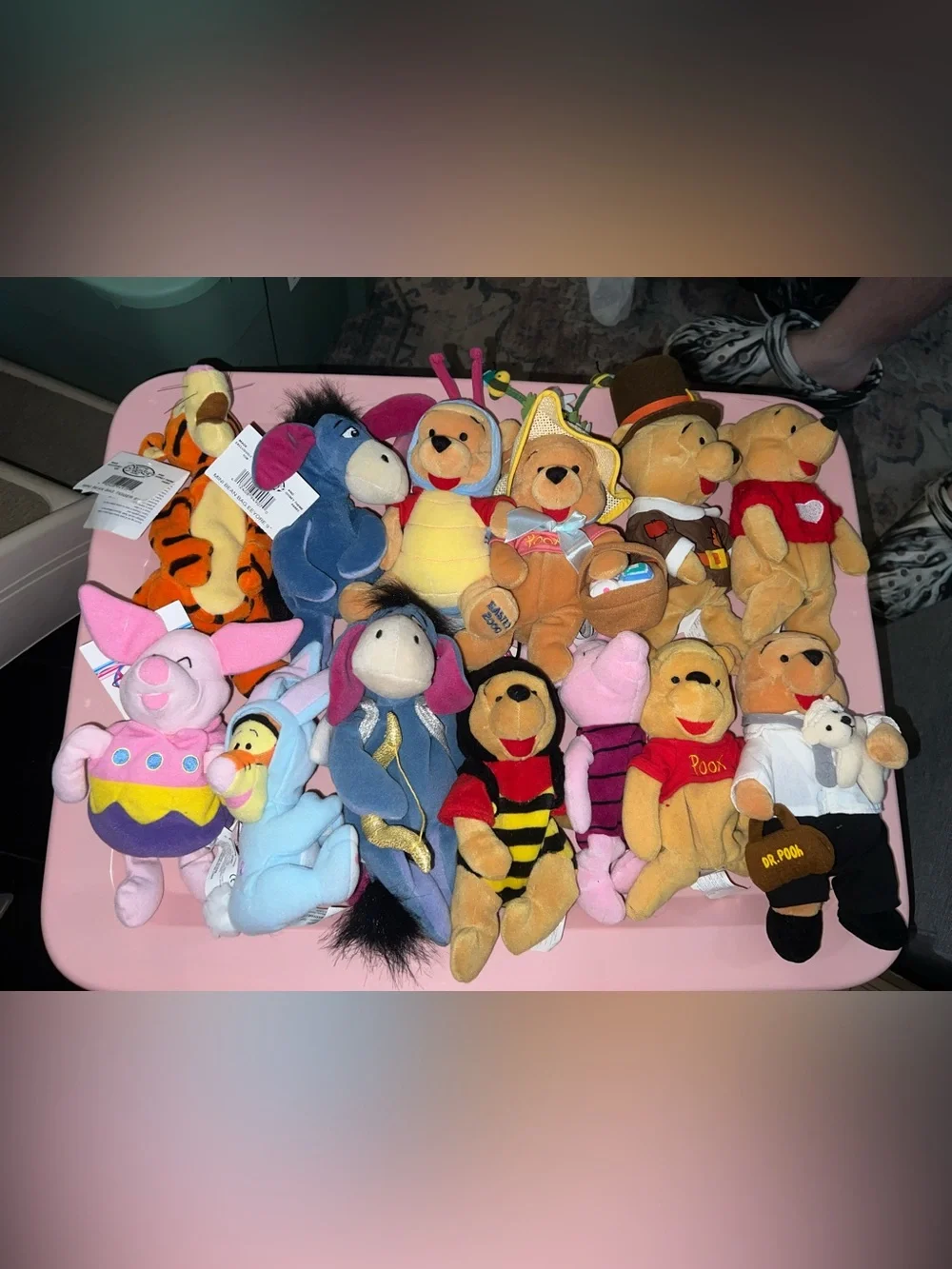 Disney Winnie the Pooh Assorted Plush Characters